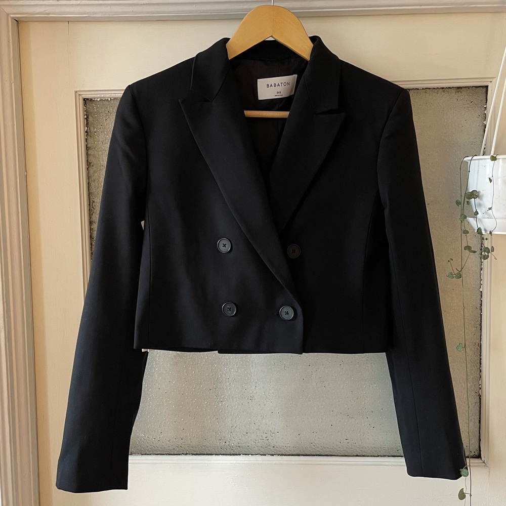 Aritzia Babaton Lalonde Blazer 2XS